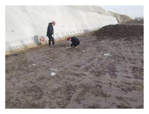 Details are in the caption following the image Details are in the caption following the image