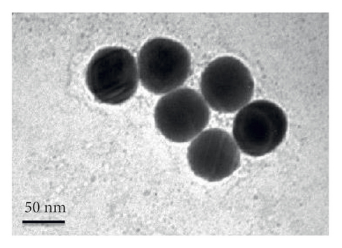 Details are in the caption following the image