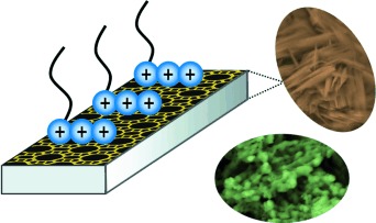 Capping with Multivalent Surfactants for Zeolite Nanocrystal Synthesis