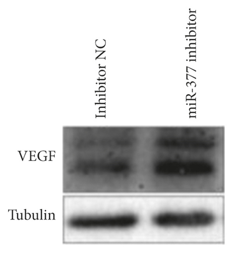 Details are in the caption following the image