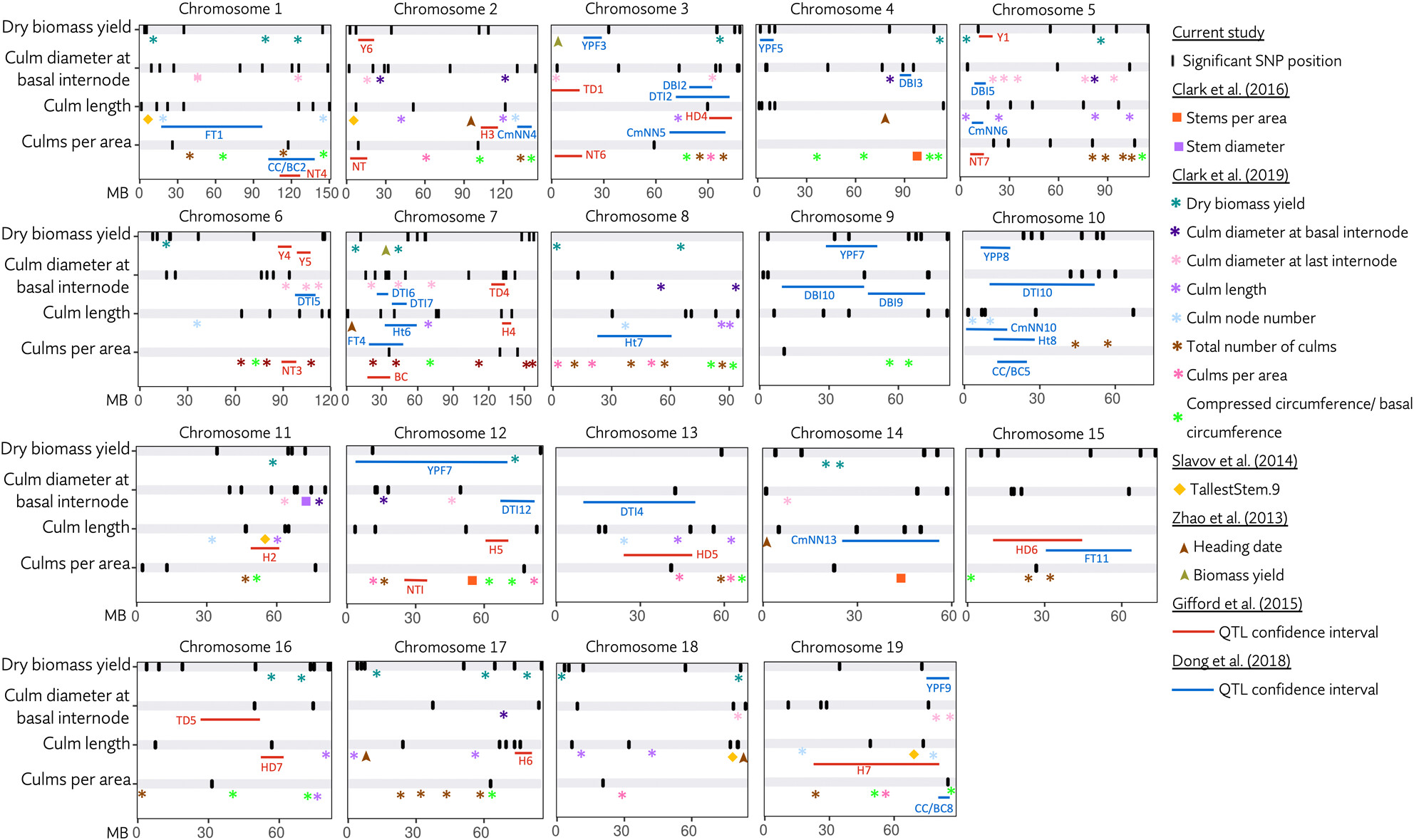 Genome-wide association and genomic prediction for yield and component traits of Miscanthus sacchariflorus