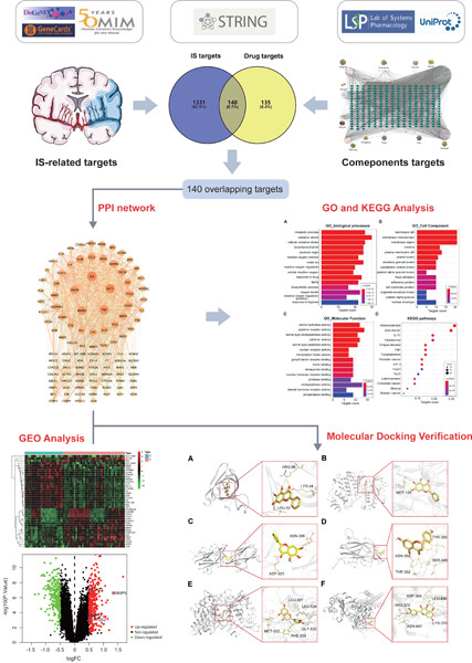 The molecular mechanism of Xiaoxuming decoction in the treatment of ischemic stroke based on network pharmacology and molecular docking