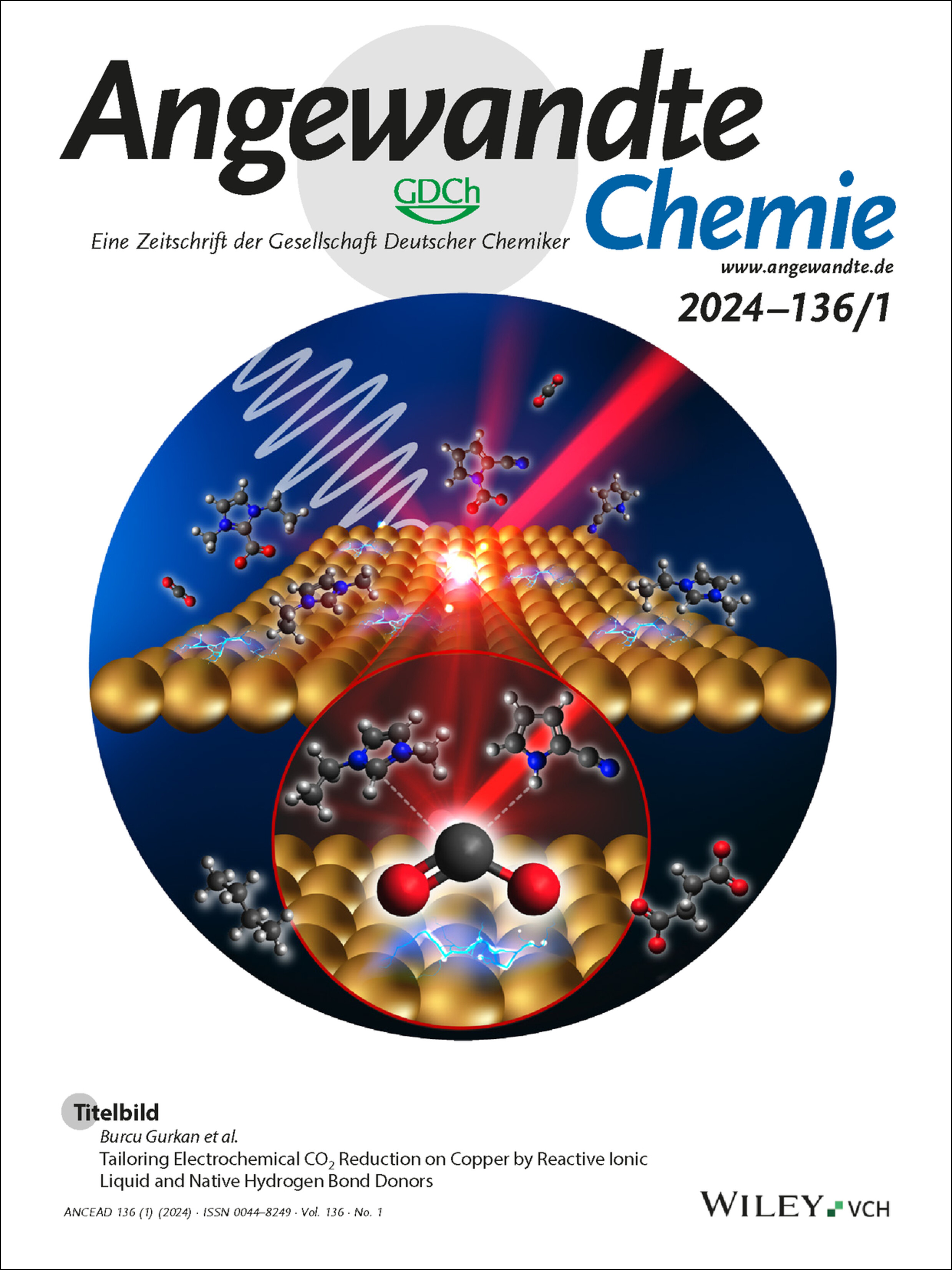 Titelbild: Tailoring Electrochemical CO2 Reduction on Copper by Reactive Ionic Liquid and Native Hydrogen Bond Donors (Angew. Chem. 1/2024) Volume 136 Issue 1, 2024