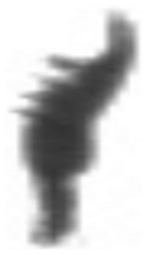 Details are in the caption following the image