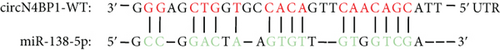 Details are in the caption following the image