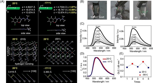 Details are in the caption following the image Details are in the caption following the image