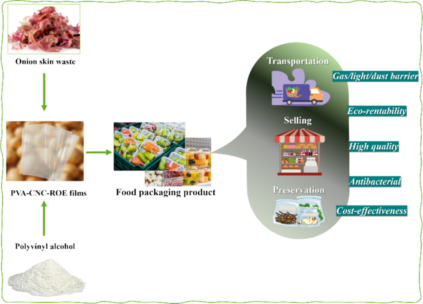Active Bio-Nanocomposite Films Based on PVA Filled With CNC and Bio-Active Extract From Onion Skin Waste
