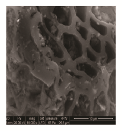 Details are in the caption following the image