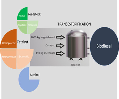 Assessment of Homogeneous and Heterogeneous Catalysts in Transesterification Reaction: A Mini Review
