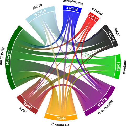 On the floristic identity of Amazonian vegetation types