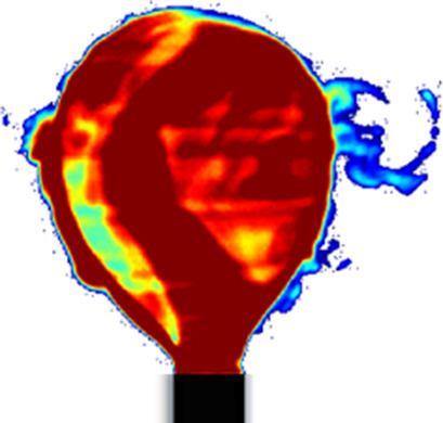 Visualization of Mass Transfer during Droplet Formation