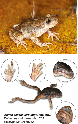 Details are in the caption following the image