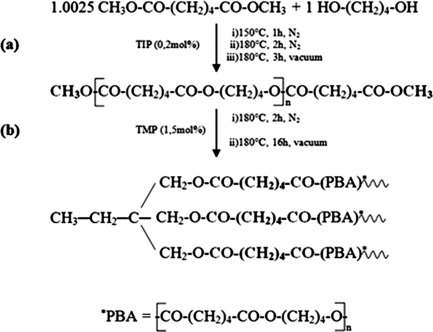 Combined techniques for the characterization of linear–hyperbranched hybrid poly(butylene adipate) copolymers