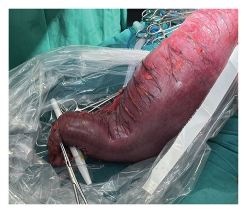 Details are in the caption following the image Details are in the caption following the image