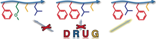 Digging into the Sequential Space of Thiolactone Precision Polymers: A Combinatorial Strategy to Identify Functional Domains