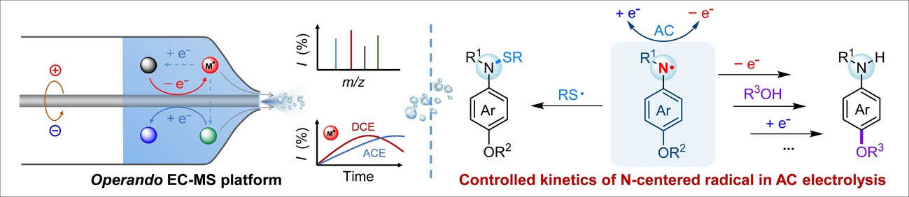 Elucidating the Underlying Reactivities of Alternating Current Electrosynthesis by Time-Resolved Mapping of Short-Lived Reactive Intermediates
