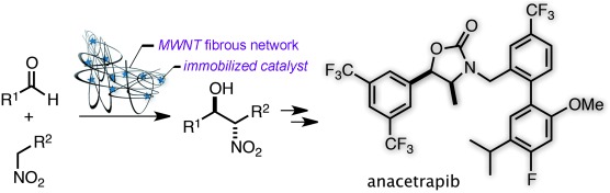 Self-Assembling Neodymium/Sodium Heterobimetallic Asymmetric Catalyst Confined in a Carbon Nanotube Network