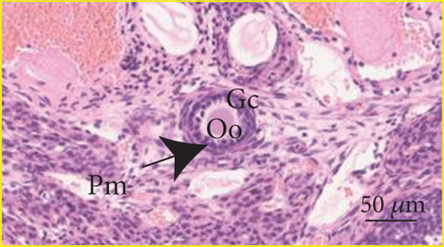 Details are in the caption following the image