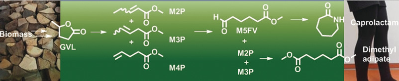 Nylon Intermediates from Bio-Based Levulinic Acid