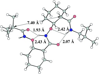 β2,3-Cyclic Aminoxy Acids: Rigid and Ring-Size-Independent Building Blocks of Foldamers