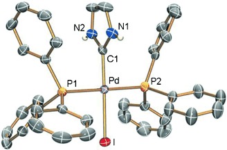 Oxidative Addition of 2-Halogenoazoles—Direct Synthesis of Palladium(II) Complexes Bearing Protic NH,NH-Functionalized NHC Ligands