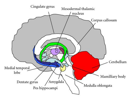 Details are in the caption following the image