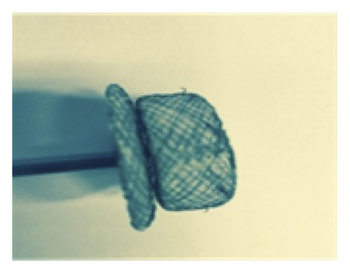Details are in the caption following the image Details are in the caption following the image
