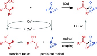Copper-Catalyzed Radical/Radical C<span class='icomoon'></span>H/P<span class='icomoon'></span>H Cross-Coupling: α-Phosphorylation of Aryl Ketone O-Acetyloximes