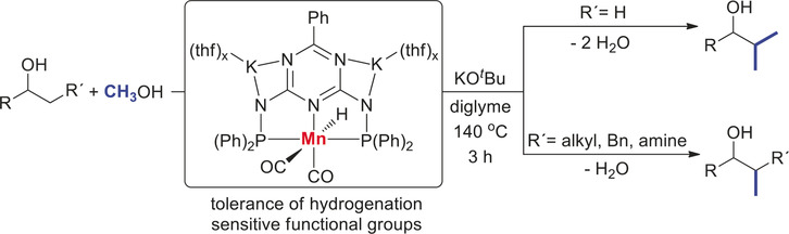Manganese-Catalyzed β-Methylation of Alcohols by Methanol