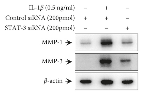Details are in the caption following the image