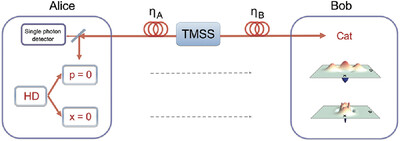 Remote Preparation of Optical Cat States Based on Gaussian Entanglement
