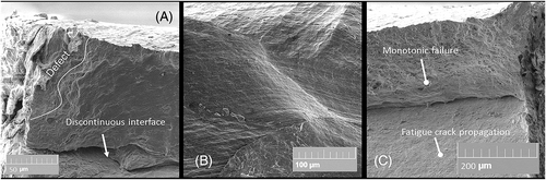 Details are in the caption following the image