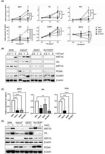 Details are in the caption following the image Details are in the caption following the image