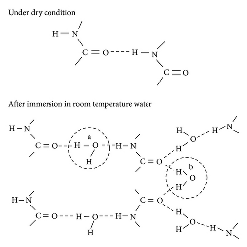 Details are in the caption following the image Details are in the caption following the image