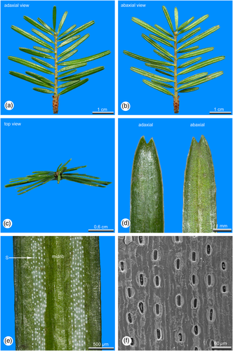 Details are in the caption following the image Details are in the caption following the image