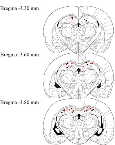 Details are in the caption following the image
