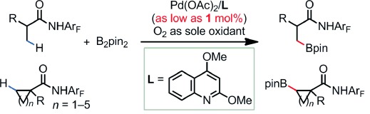 Ligand-Promoted Borylation of C(sp3)<span class='icomoon'></span>H Bonds with Palladium(II) Catalysts