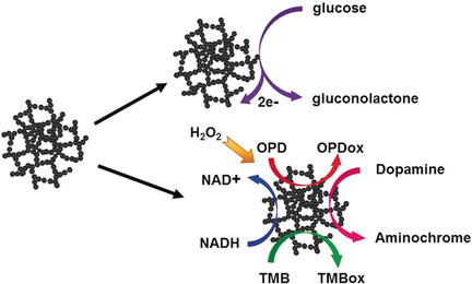 Versatile Three-Dimensional Porous Cu@Cu2O Aerogel Networks as Electrocatalysts and Mimicking Peroxidases