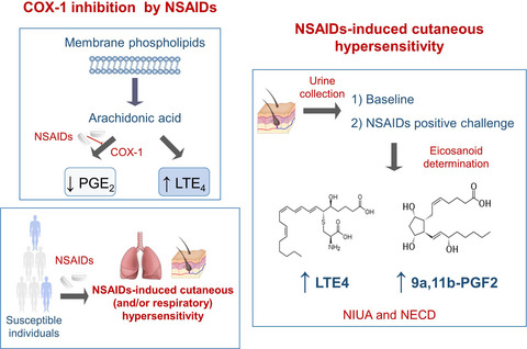 Eicosanoid mediator profiles in different phenotypes of nonsteroidal anti-inflammatory drug-induced urticaria