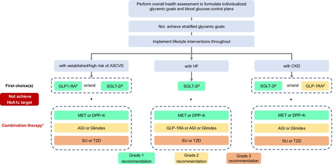 Guideline for the Management of Diabetes Mellitus in the Elderly in China (2024 Edition)