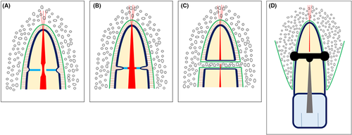 Details are in the caption following the image Details are in the caption following the image