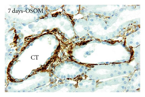Details are in the caption following the image