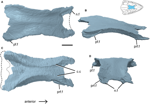 Details are in the caption following the image