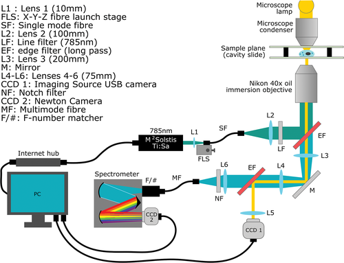 Details are in the caption following the image Details are in the caption following the image
