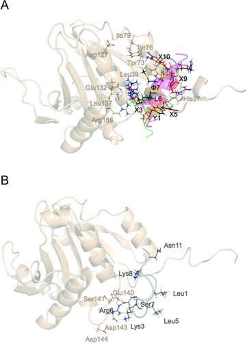 Details are in the caption following the image Details are in the caption following the image