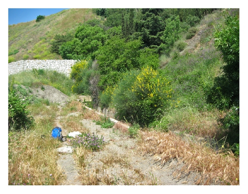 Details are in the caption following the image