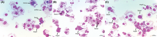 Details are in the caption following the image Details are in the caption following the image