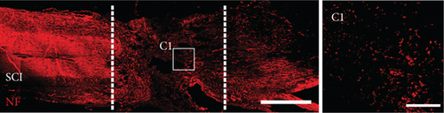 Details are in the caption following the image