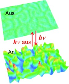 Self-assembled Dynamic 3D Fingerprints in Liquid-Crystal Coatings Towards Controllable Friction and Adhesion