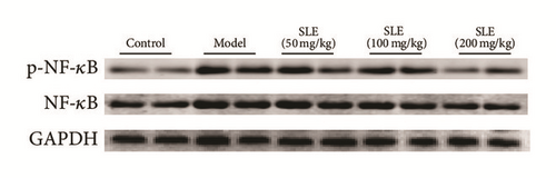 Details are in the caption following the image